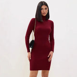 Vestido de mujer tipo suéter – Punto acanalado – Corte ajustado – Manga larga – Cuello alto